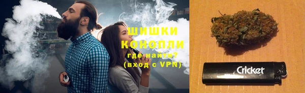 бошки Алексин