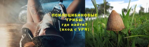 стафф Арсеньев