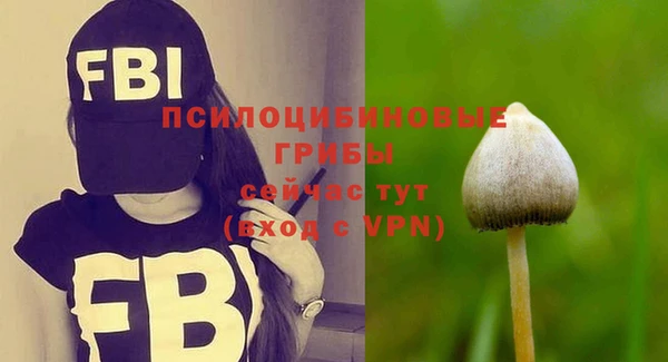 спиды Армянск