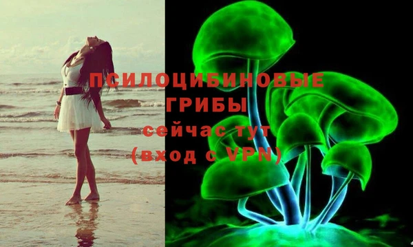 бошки Алексин